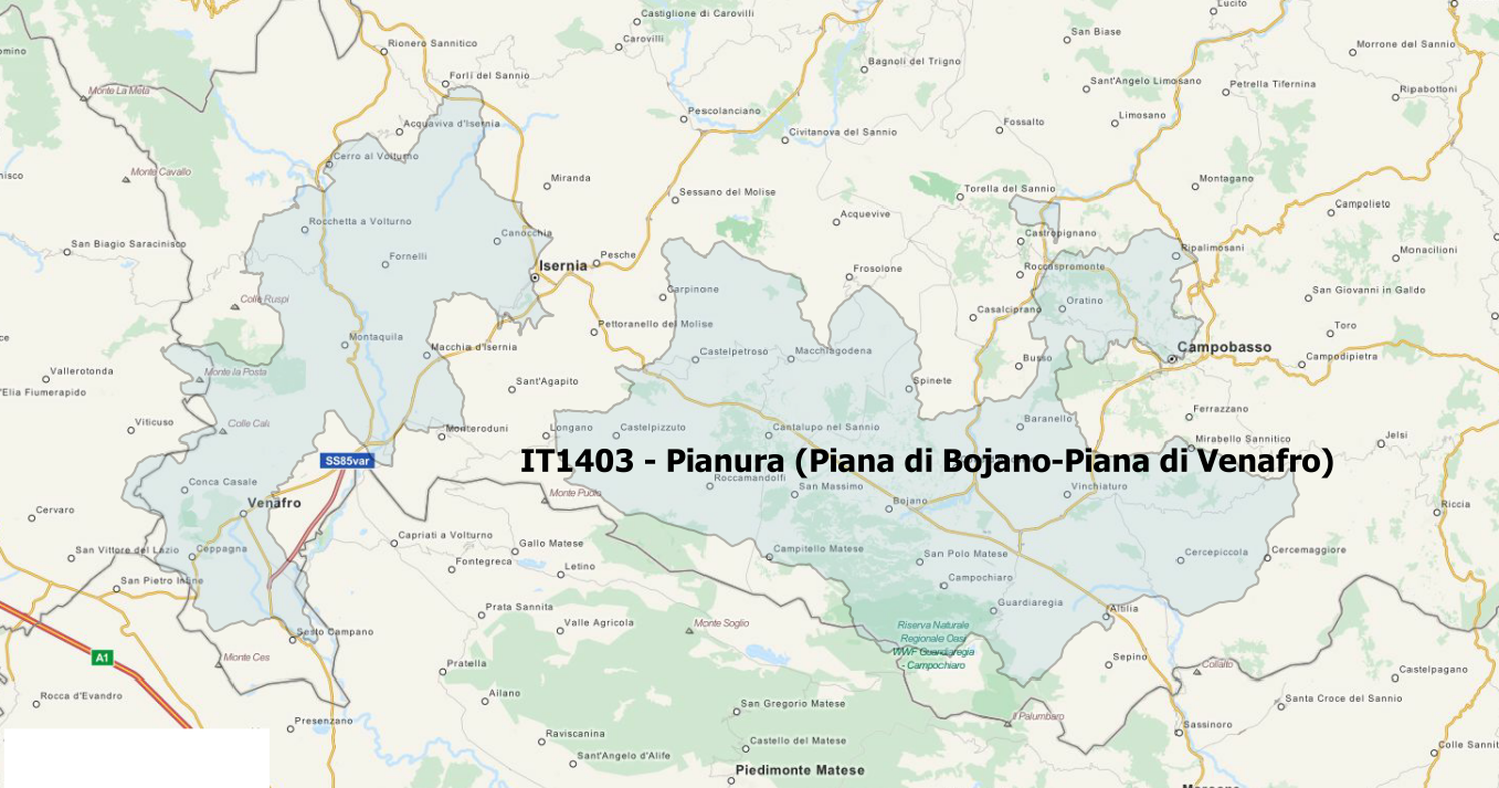 IT1403